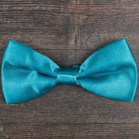 Бабочка бирюзового цвета в аренду для мужского костюма